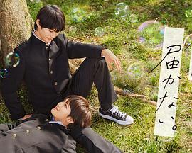 长沙搜索引擎优化seo